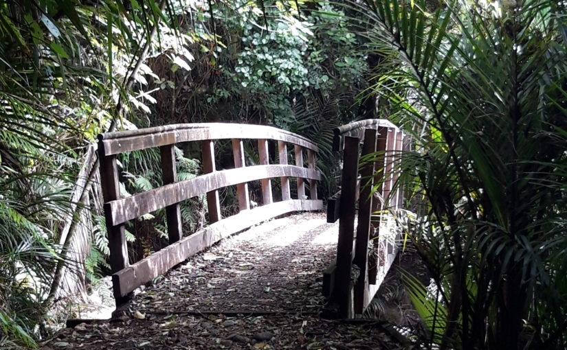 Heaphy Track